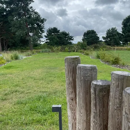 Boddenruh